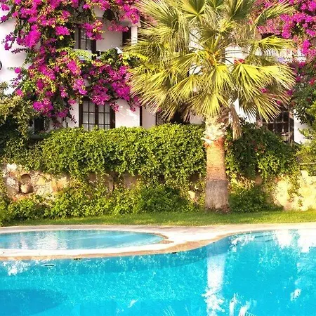 Mare Garden 3* Turgutreis