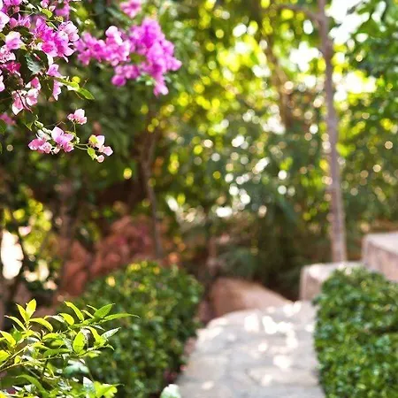 Mare Garden Отель 3*
