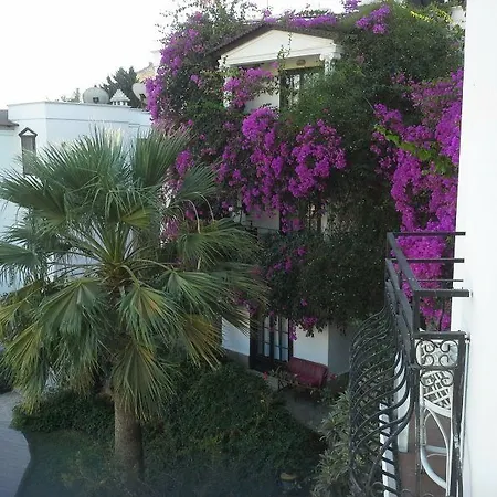 فندق Sunny Garden Nilufer Hotel