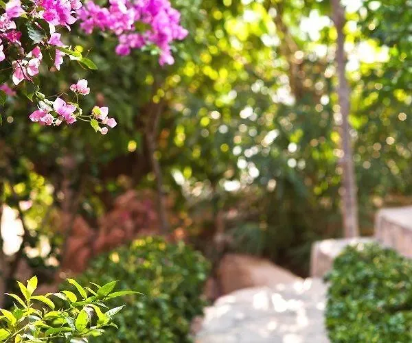 Mare Garden Отель 3*