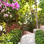 Mare Garden Otel 3*